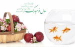 سال نو 2