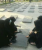 حضور دانشجویان در تئاتر یاس کبود در هفته دفاع مقدس در اداره ارشاد اسلامی 3