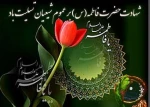 شهادت حضرت زهرا(س) 2