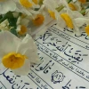 تصاویر دانشگاه 2