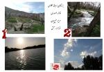 برندگان مسابقه عکاسی  2