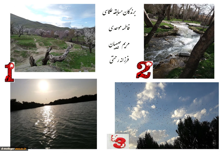 برندگان مسابقه عکاسی  2