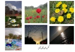 برندگان مسابقه عکاسی 2