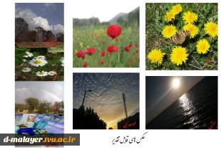 برندگان مسابقه عکاسی 2
