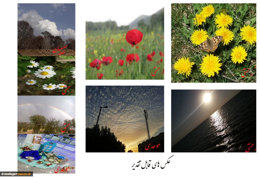 برندگان مسابقه عکاسی 2