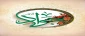 میلاد امام جواد (ع)