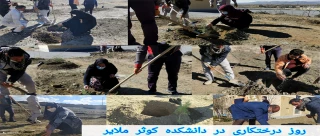 روز درختکاری