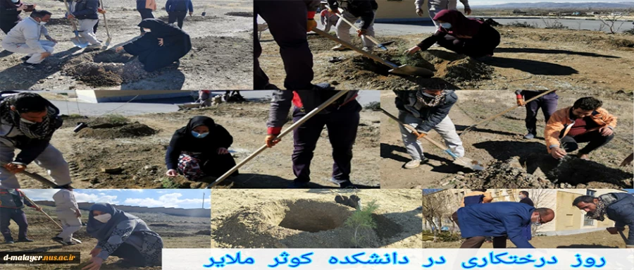 روز درختکاری  2
