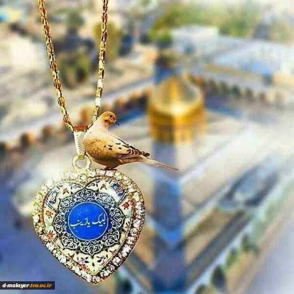 تولد حضرت زینب و روز پرستار گرامی باد 2